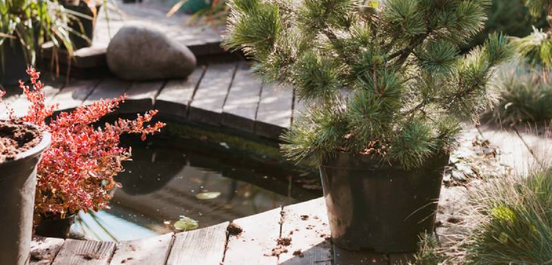 estanque para jardines