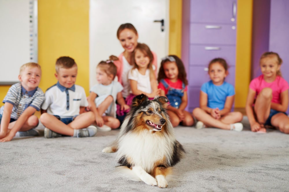 perro de terapia
