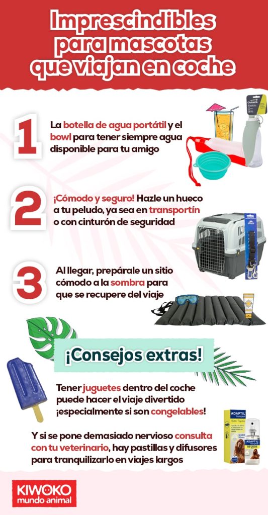 Imprescindibles para mascotas que viajan en coche