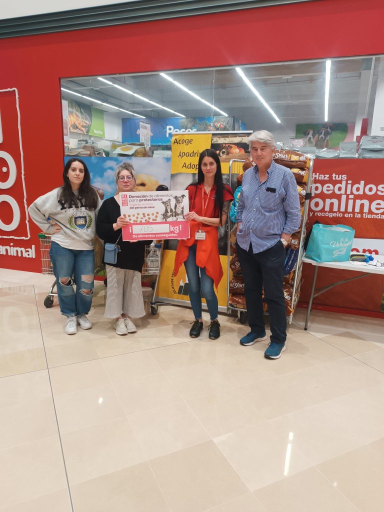 lugo dia del perro sin raza