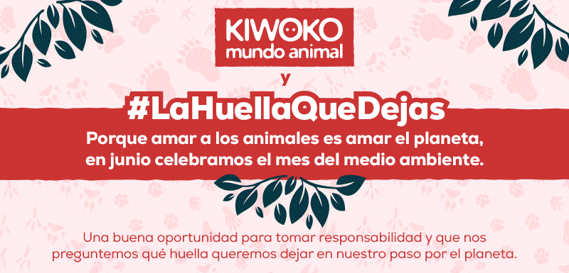 la huella que dejas