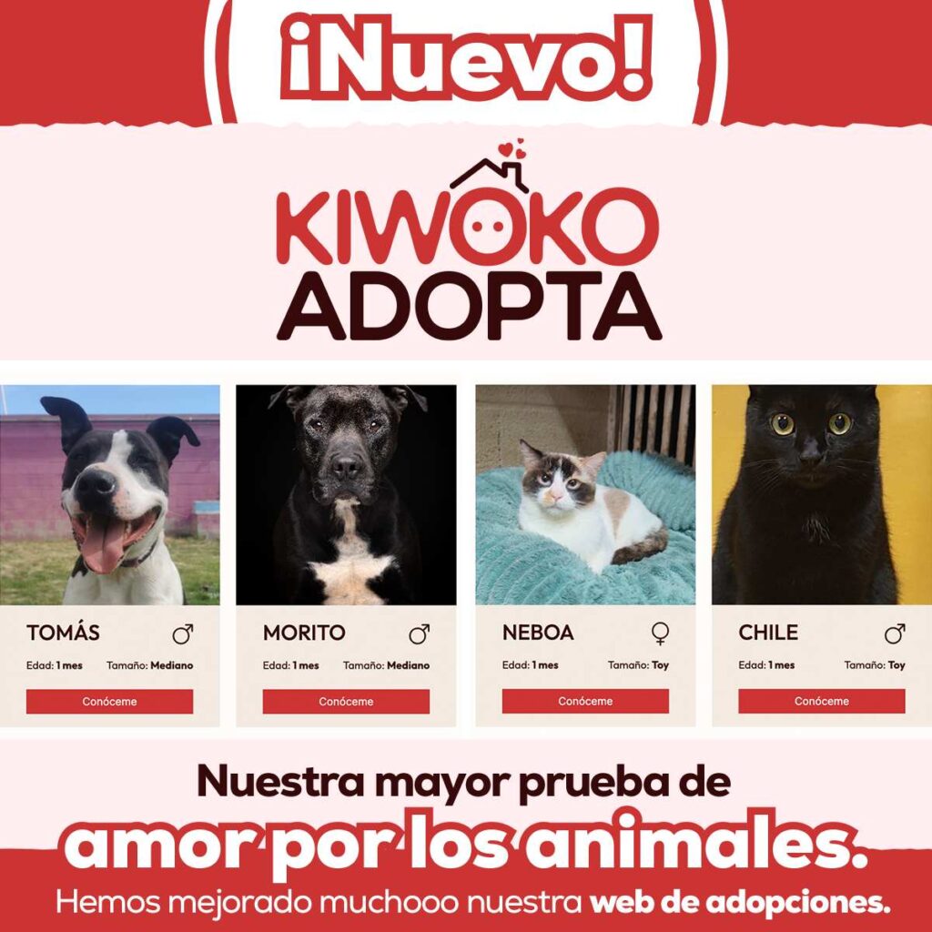 Como adoptar en Kiwoko Adopta