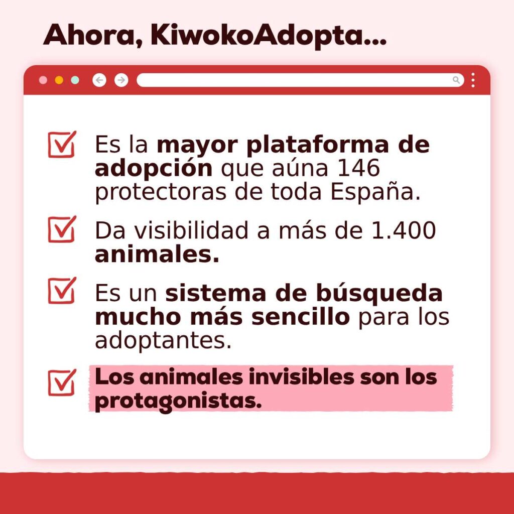 Kiwokoadopta