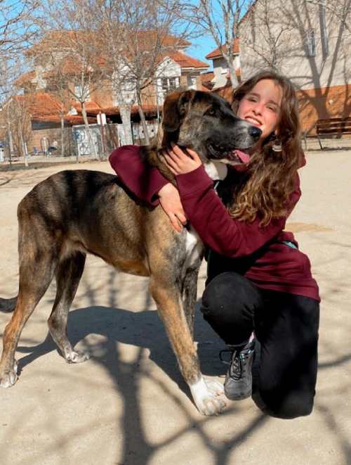 historia adopcion Nux y Xaia