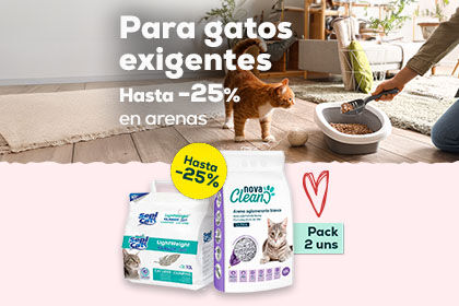 Banner viaje  gato