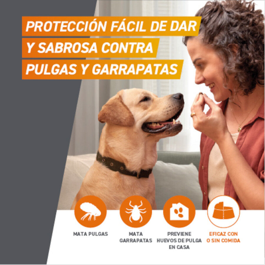 Frontpro Comprimidos Masticables Antiparasitario para perros, , large indicador imagen numero 2