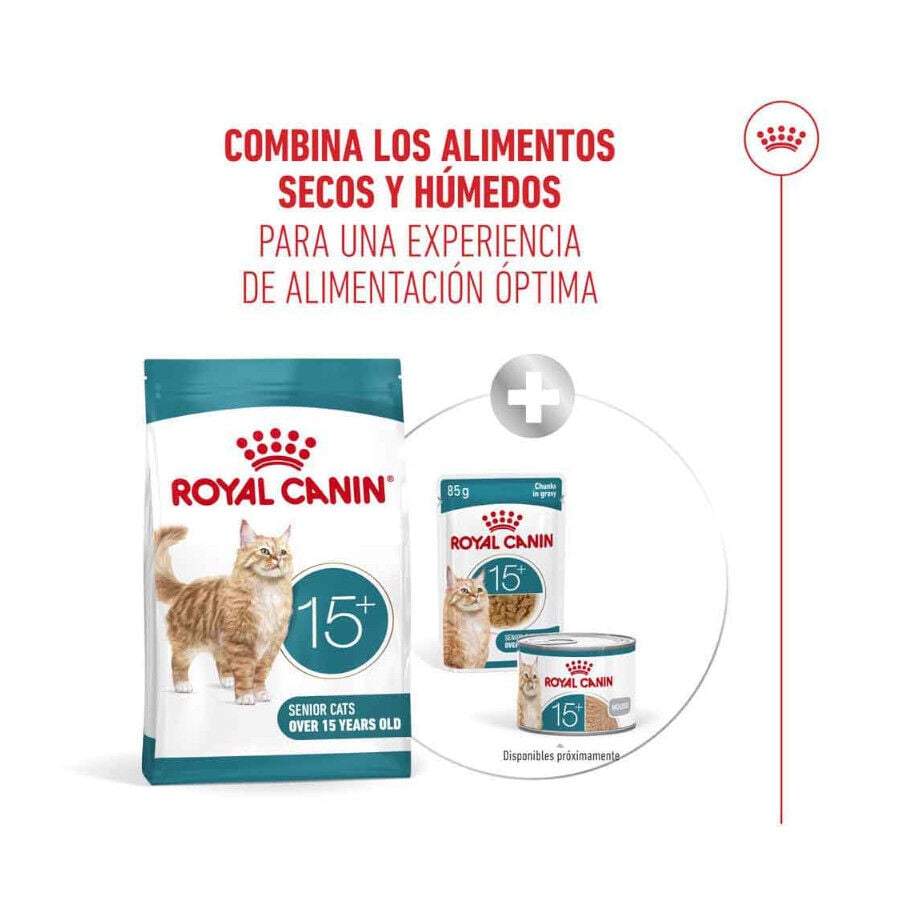 4 kg Royal Canin Ageing +15 pienso para gato senior&nbsp;, , large indicador imagen numero 11