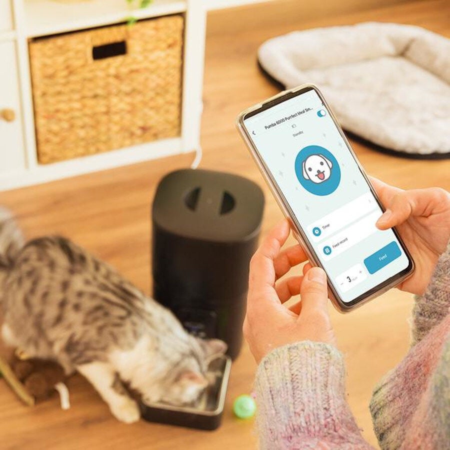 Cecotec Pumba 6000 Purrfect Meal Smart Comedero Autom&aacute;tico para perros y gatos, , large Imagen numero 7