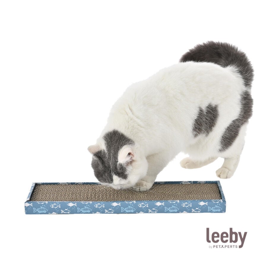 Leeby Fitz tabla rascador de cart&oacute;n azul para gatos, , large indicador imagen numero 2