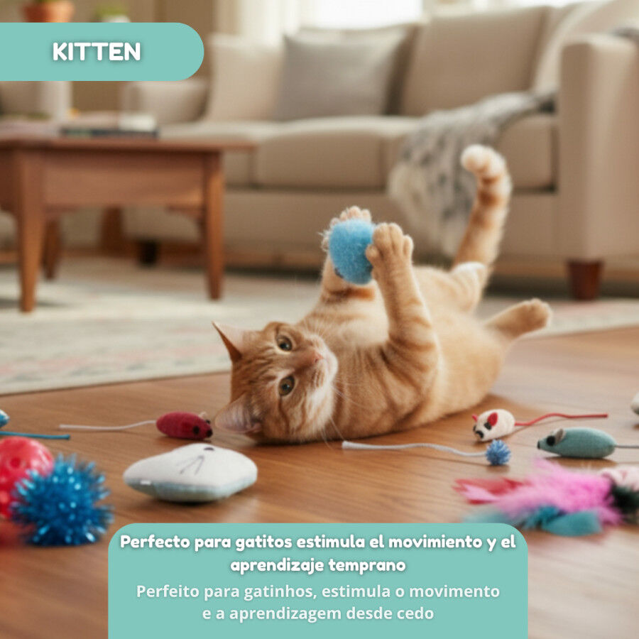 Tootoy! Caja de Juguetes Variados para gatitos, , large indicador imagen numero 10