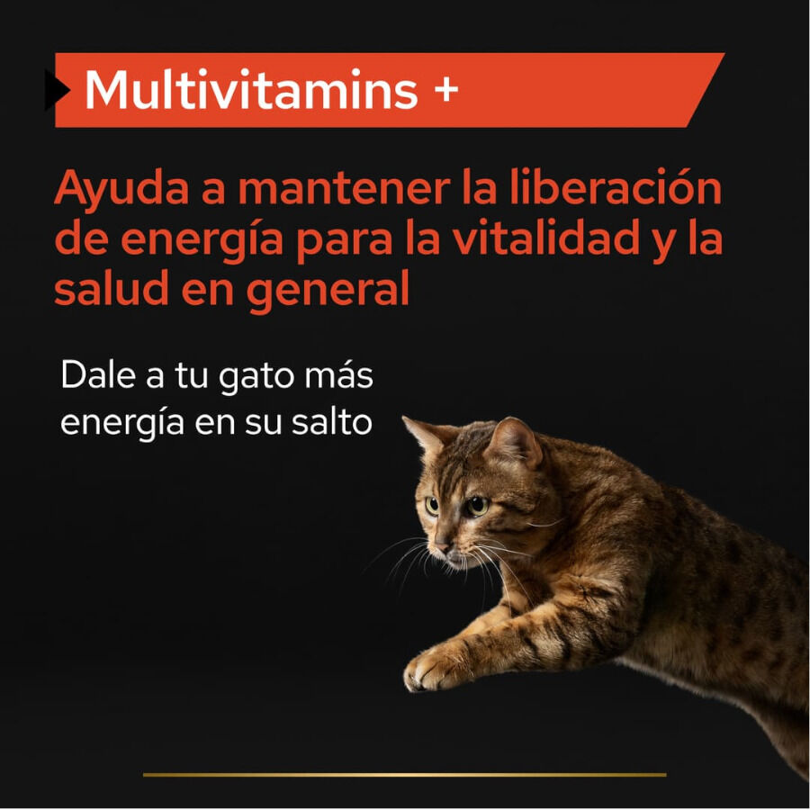 60 g Pro Plan Multivitamins + para gatos, , large indicador imagen numero 3