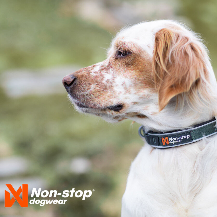 Non-stop dogwear Roam Collar Verde para perros, , large indicador imagen numero 2