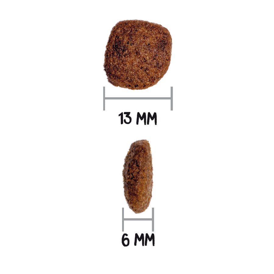 3 kg Ownat Mini Adult Ultra Pollo y Pavo pienso para perros, , large indicador imagen numero 3