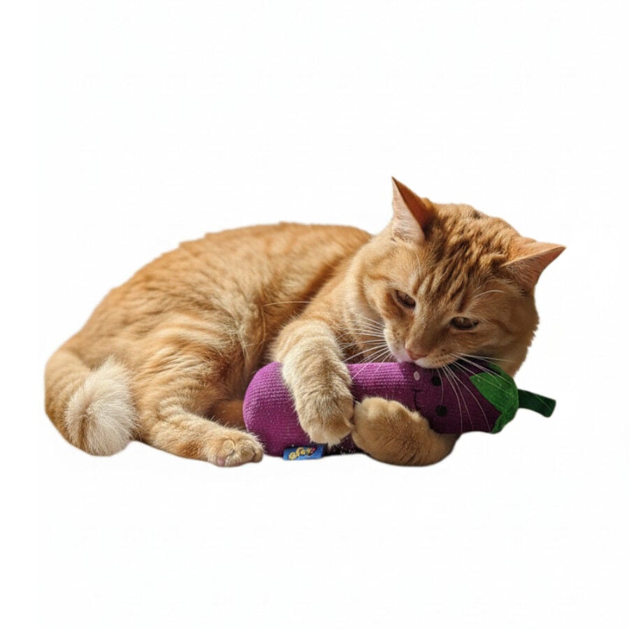 BAM! Peluche Berenjena con Catnip para gatos