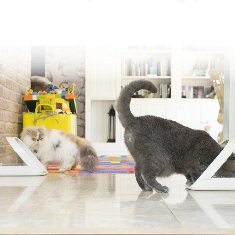 Sure Petcare Surefeed Comedero Autom&aacute;tico con Microchip, , large indicador imagen numero 5