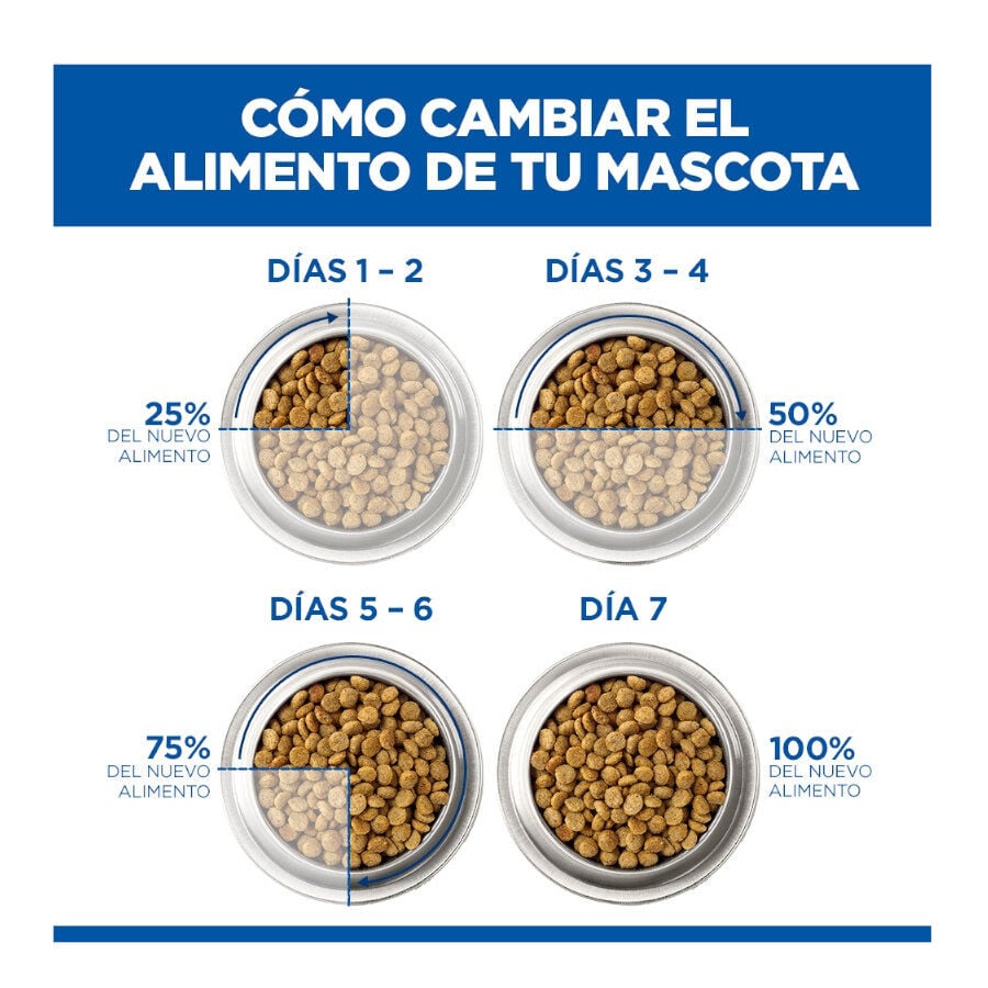 85 g Hill's Science Plan Adult Ternera Sobre en Salsa para gatos, , large Imagen numero 9
