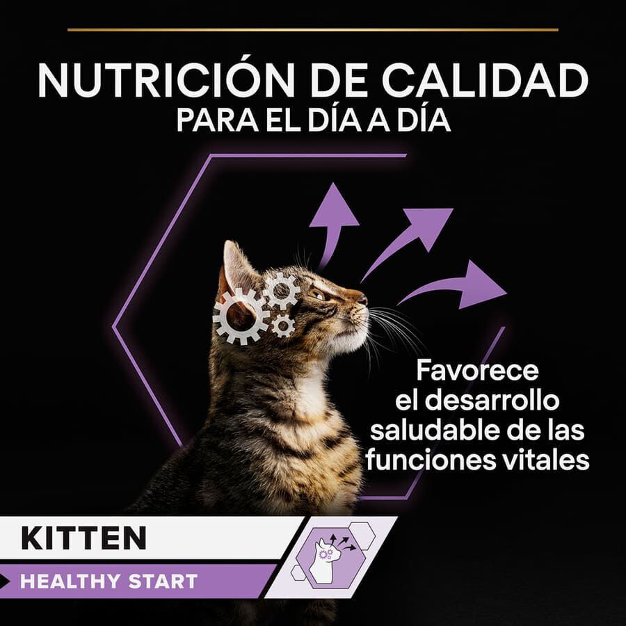 85 g Pro Plan NutriSavour Feline Kitten Pavo en salsa sobre para gatos&nbsp;, , large indicador imagen numero 3