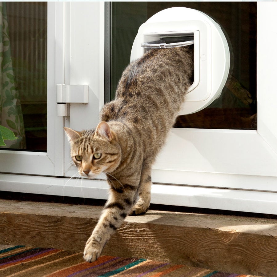 Sure Petcare SureFlap Puerta Autom&aacute;tica Blanca con Microchip, , large indicador imagen numero 4