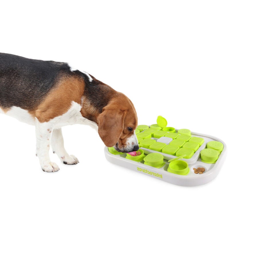 All For Paws Interactives Juguete Rompecabezas Sokudo para perros, , large indicador imagen numero 1
