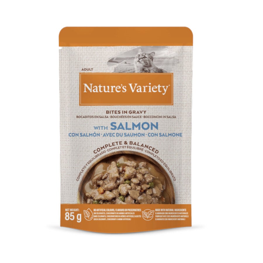 Nature's Variety Adult Salm&oacute;n sobre en salsa para gatos