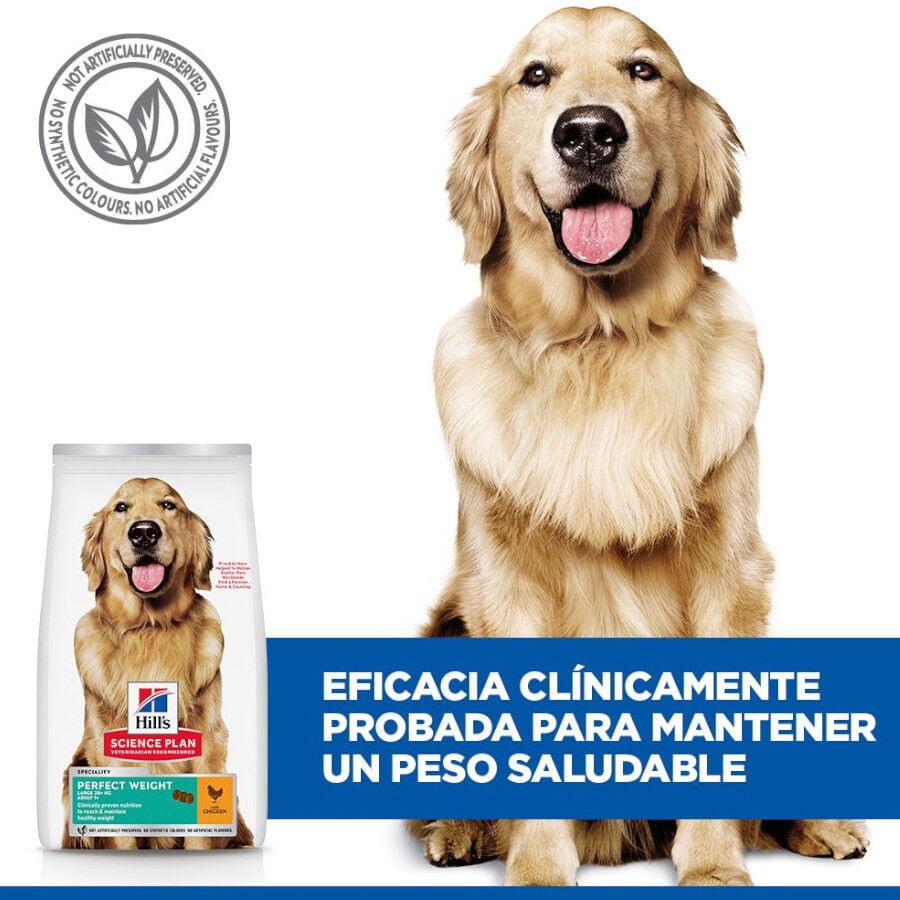 12 kg Hill's Science Plan Perfect Weight Adult Large Pollo pienso para perros, , large Imagen numero 5