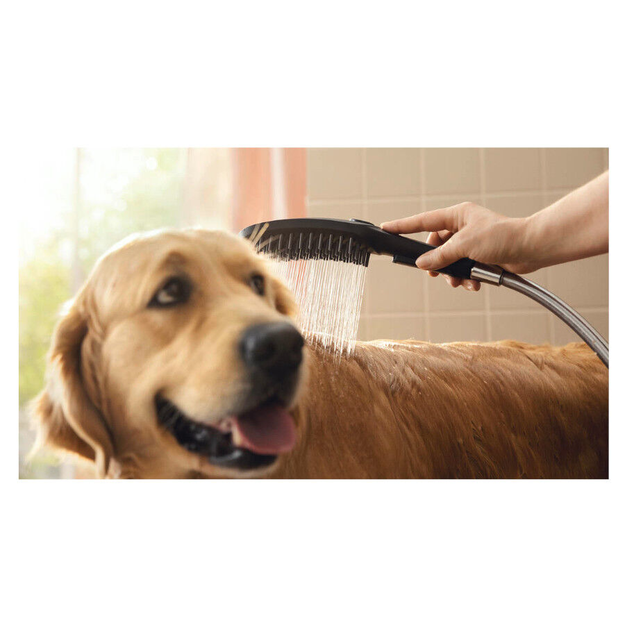 Hansgrohe Alcachofa de Ducha Negra para perros, , large Imagen numero 4