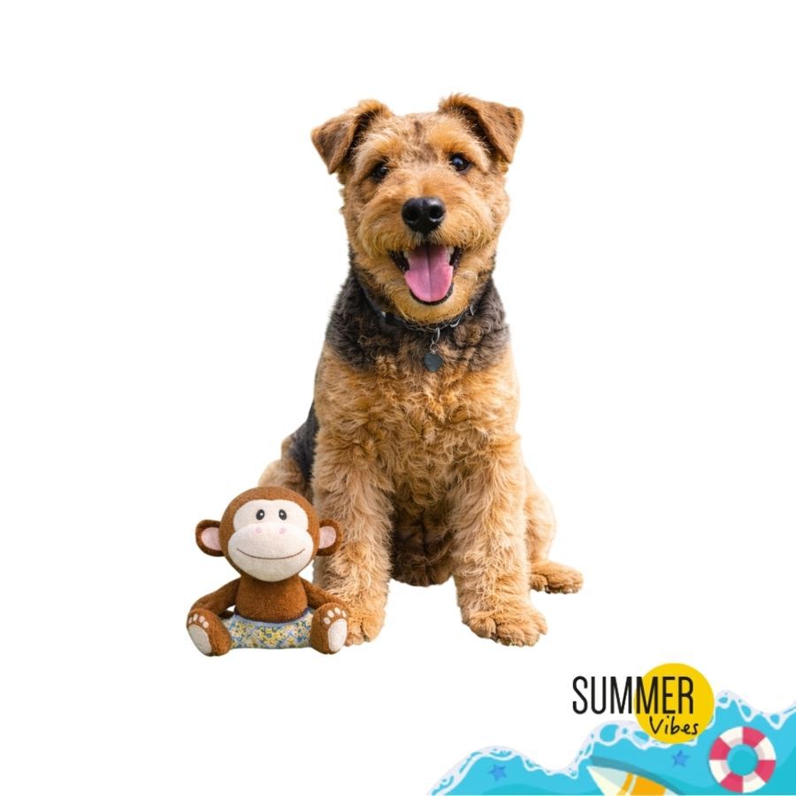 Summer Vibes Mono Dolce Vita  Peluche para perros, , large indicador imagen numero 6