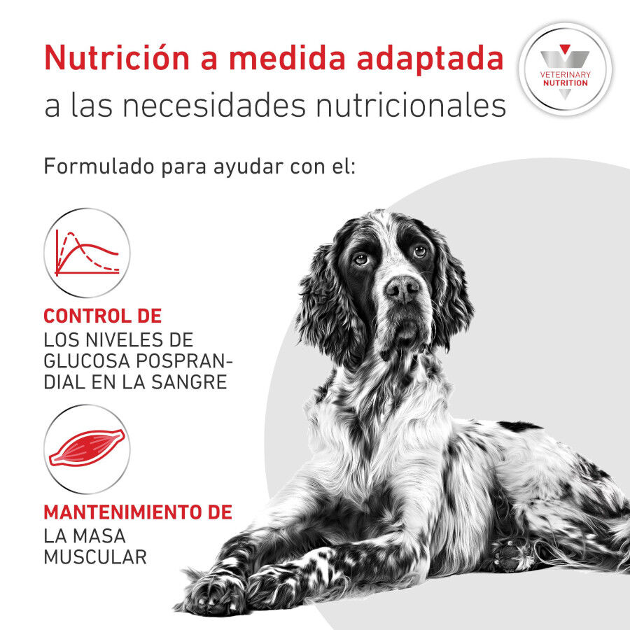 12 kg Royal Canin Veterinary Diabetic pienso para perros, , large Imagen numero 3