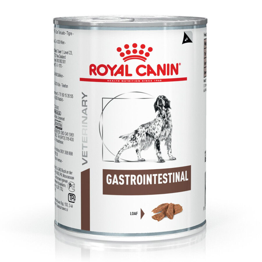 400 g Royal Canin Veterinary Diet Gastrointestinal lata para perros  , , large indicador imagen numero 2