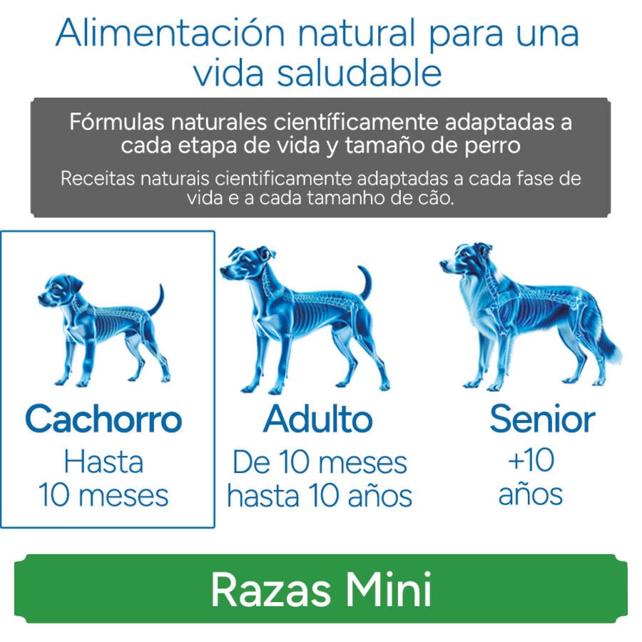 3 kg Criadores Cient&iacute;fico Mini Pienso Pollo para cachorros, , large indicador imagen numero 11