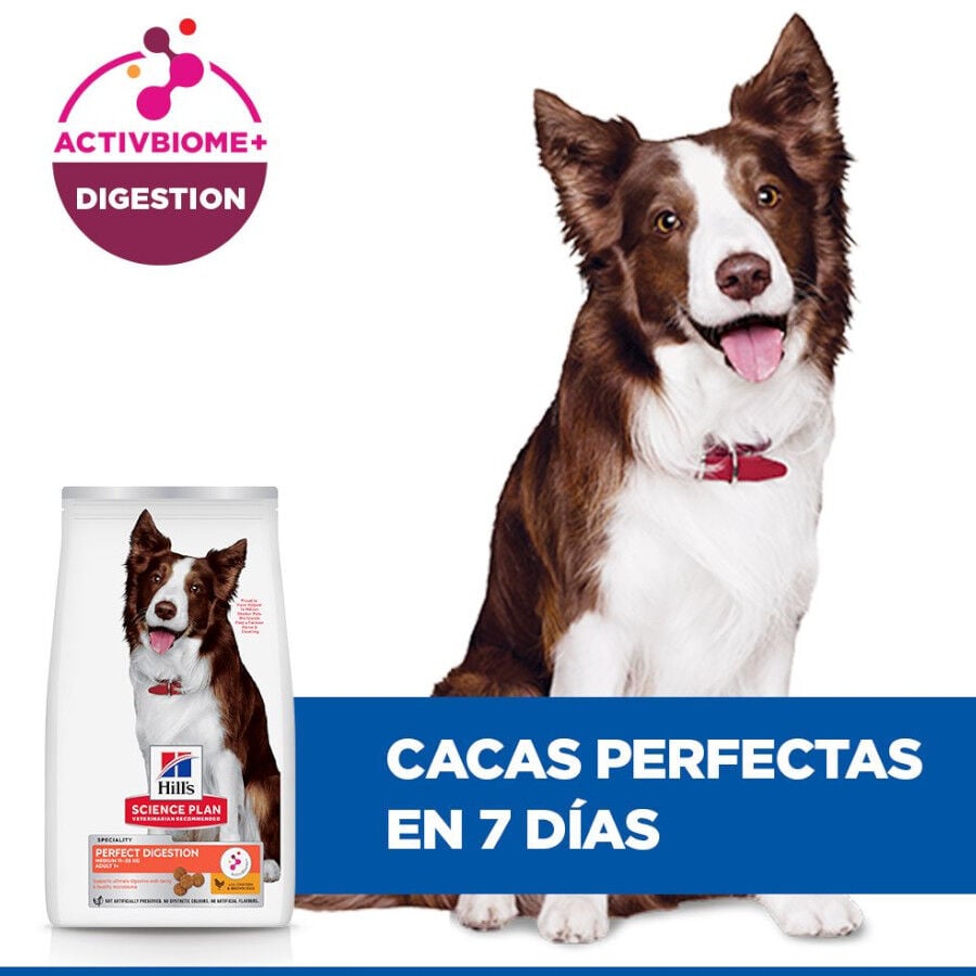 14 kg Hill's Science Plan Perfect Digestion Adult Medium Pollo pienso para perros, , large indicador imagen numero 6