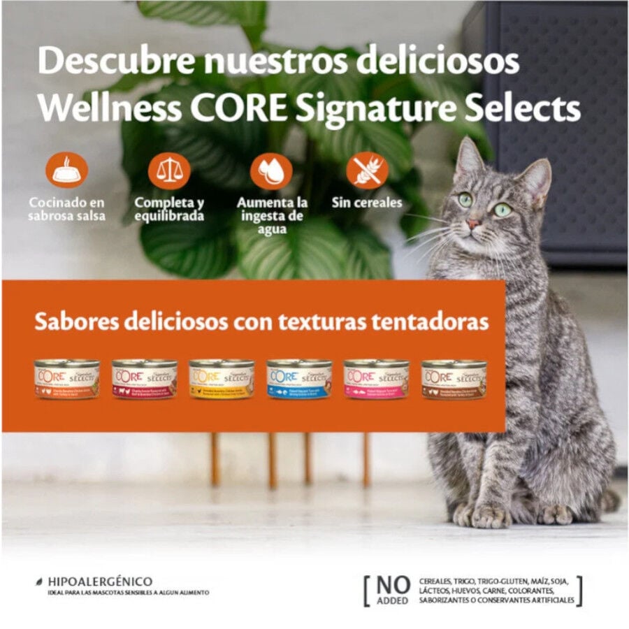 79 g Wellness Core Chunky pollo y pavo lata para gatos, , large indicador imagen numero 2