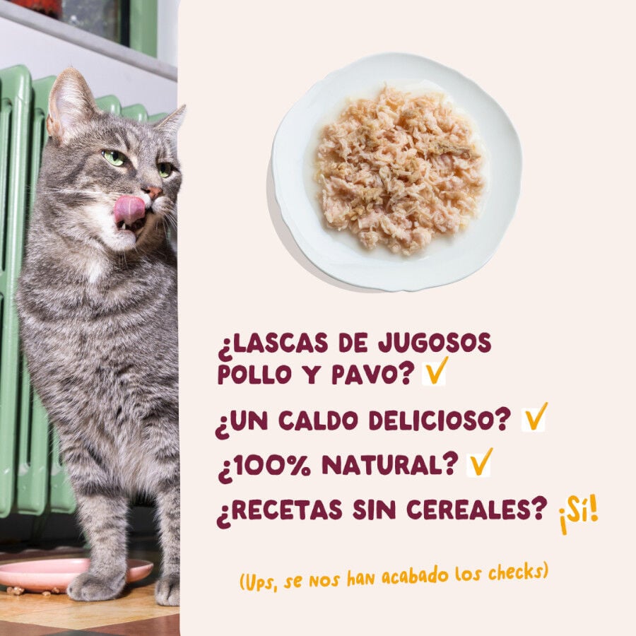 70 g Edgard & Cooper Filetes de Pollo y Pavo Lata para gatos, , large indicador imagen numero 4