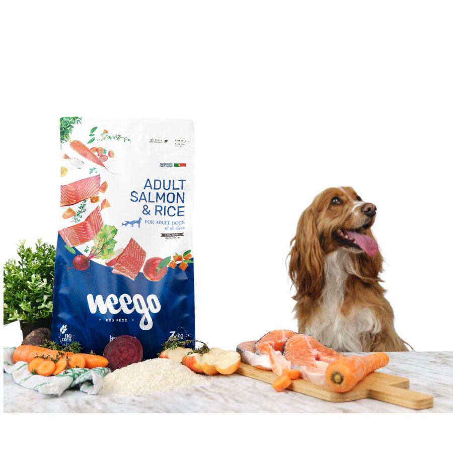 Weego Low Grain Salm&oacute;n y Arroz pienso para perros, , large Imagen numero 4