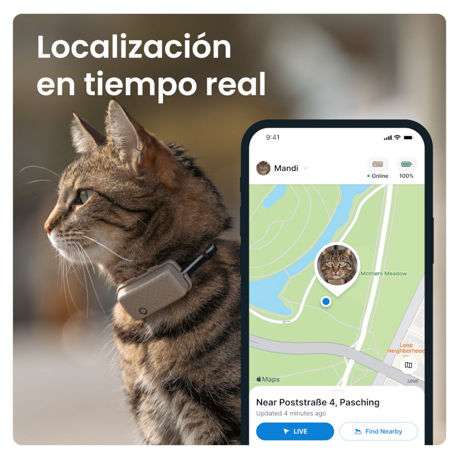 Tractive Cat Mini Localizador GPS Marr&oacute;n para gatos, , large indicador imagen numero 6
