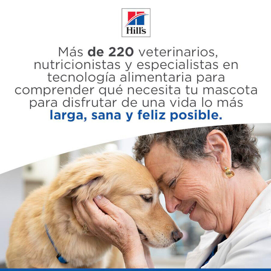 12 kg Hill's Science Plan Light Mature Adult 7+ Medium Pollo pienso para perros, , large indicador imagen numero 9