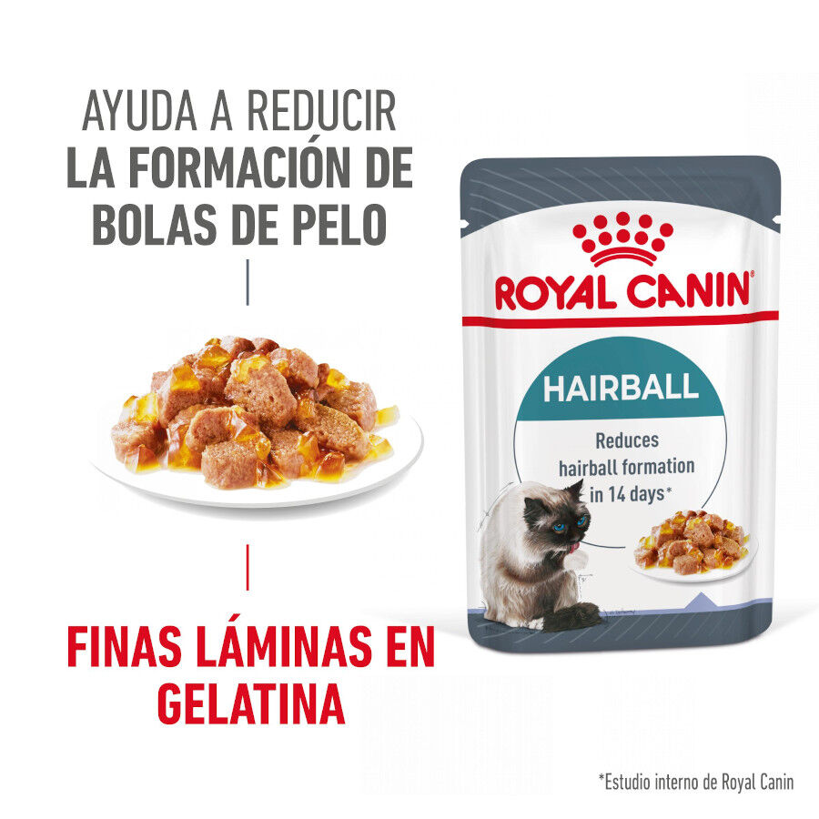 85 g Royal Canin Hairball Care Sobre en Gelatina para gatos, , large Imagen numero 7