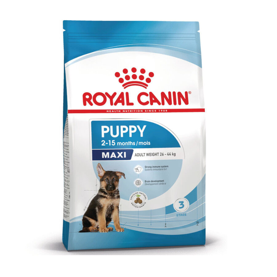 1 kg Royal Canin Puppy Maxi pienso para perros, , large Imagen numero 1