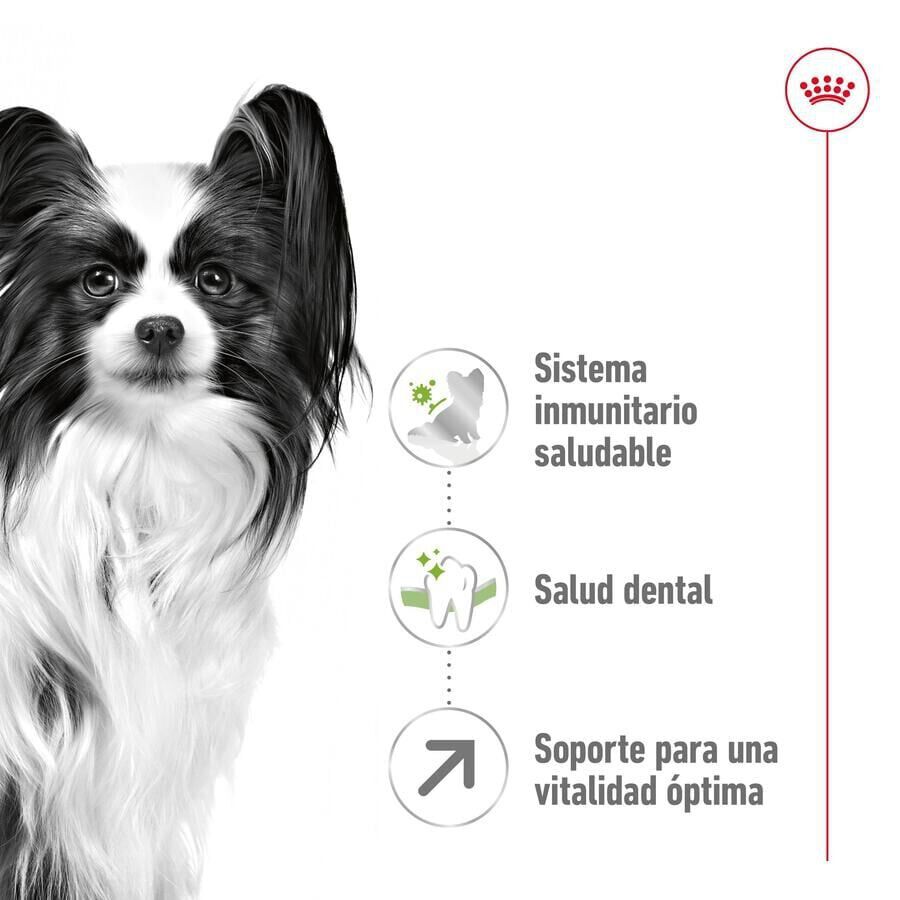 1.5 kg Royal Canin X-Small 8+ Mature pienso para perros, , large indicador imagen numero 5