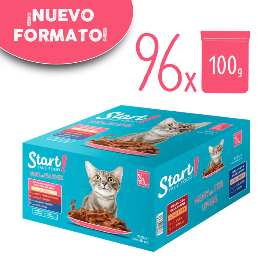 12 latas x 100 g Start Cat Carne con Pollo y Pescado en Gelatina sobre para gatos, , large Imagen numero 2