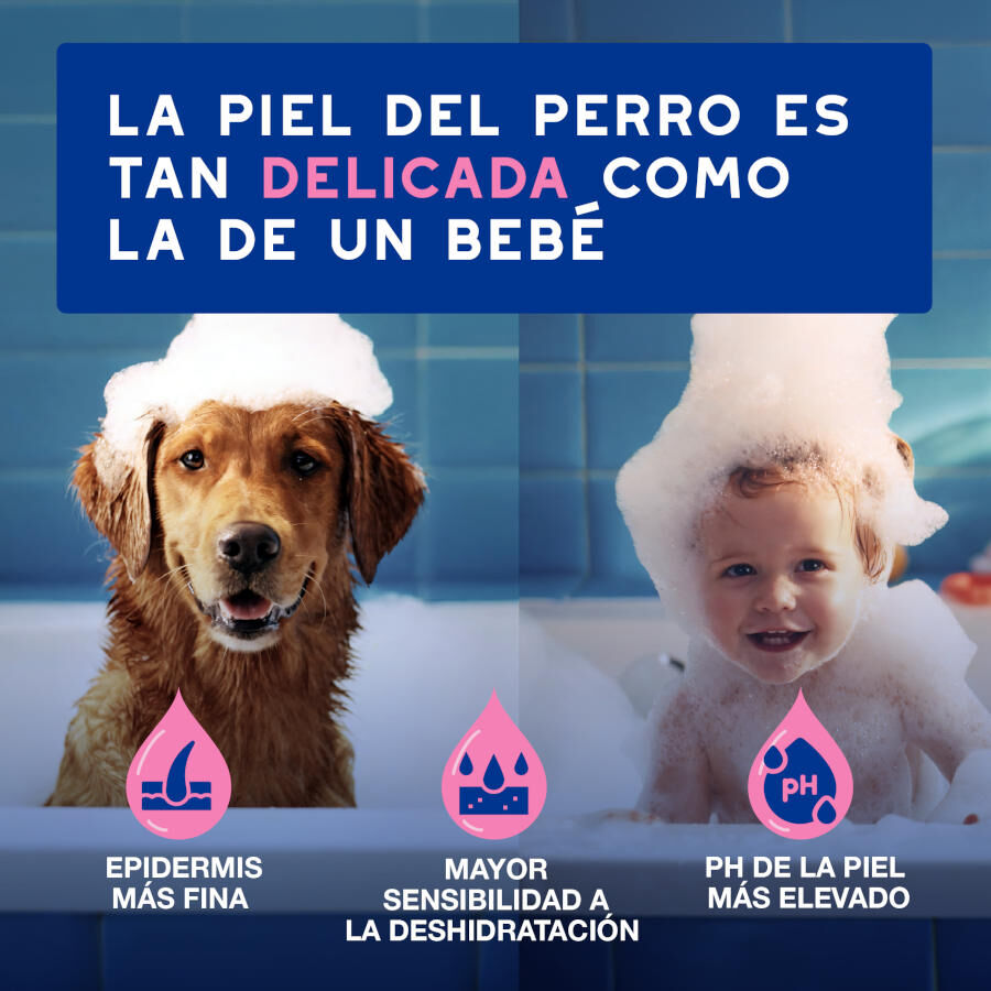 Ceva Douxo Spa Champ&uacute; Alivia para perros, , large indicador imagen numero 8