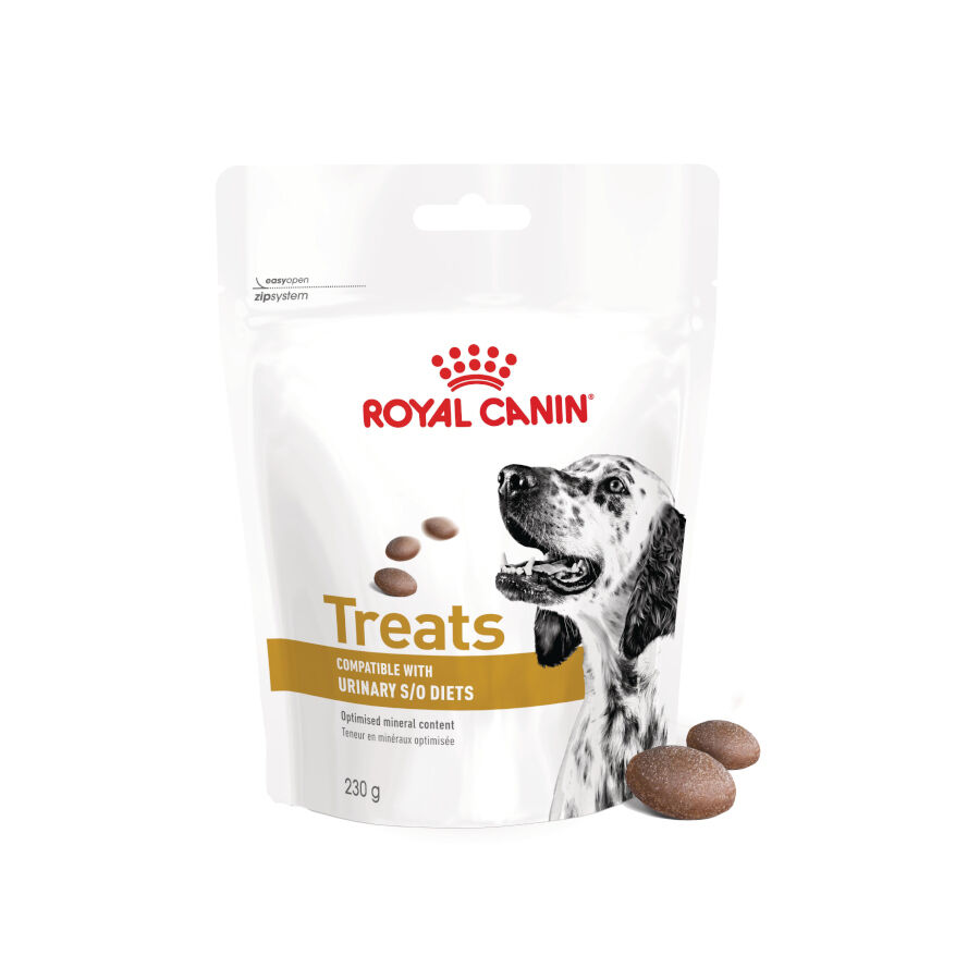 230 g Royal Canin Treats Urinary Snacks para perros, , large Imagen numero 3