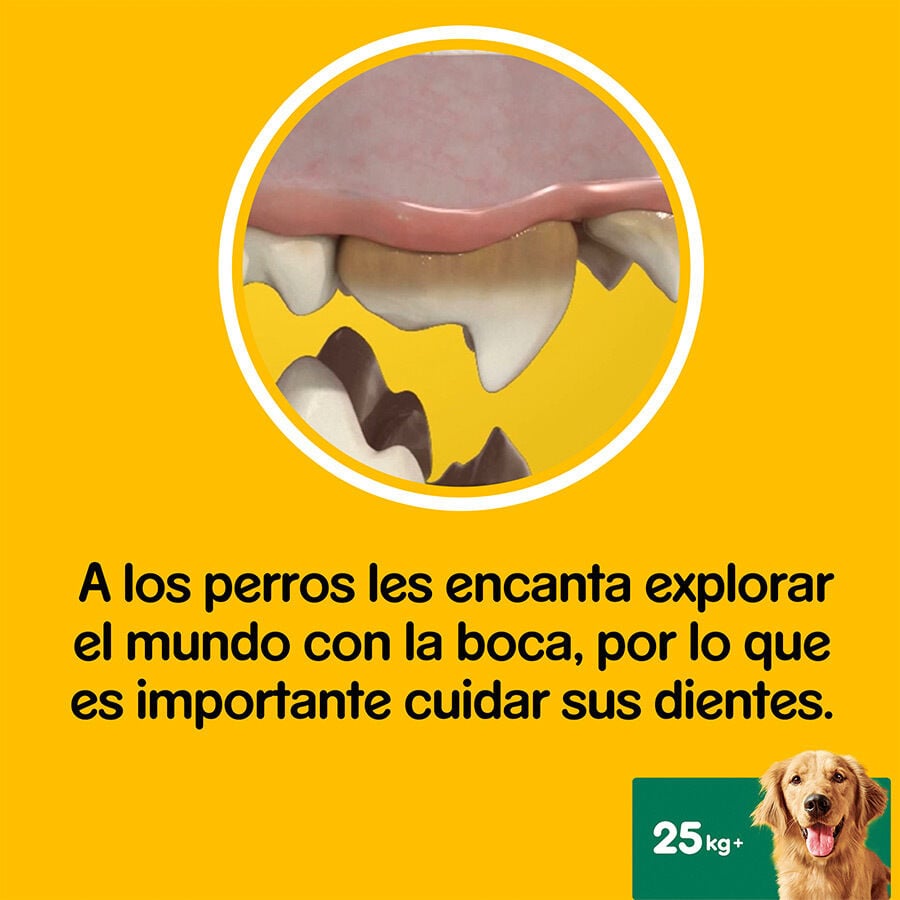 105 barritas Pedigree Dentastix Snacks Dentales para perros grandes, , large indicador imagen numero 5