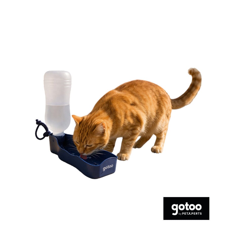 Gotoo Botella Bebedero Port&aacute;til de Pl&aacute;stico Azul para perros y gatos