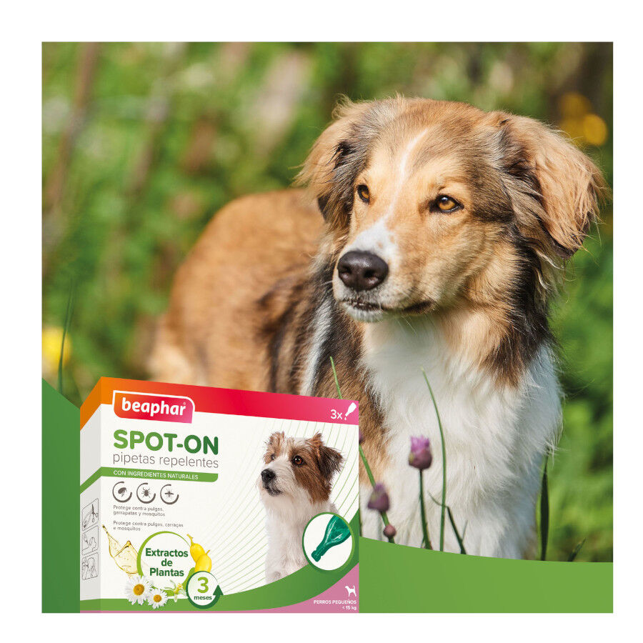 Beaphar Pipetas Repelentes para perros, , large Imagen numero 8