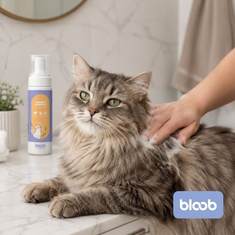 Bloob Champ&uacute; Seco en Espuma para gatos, , large Imagen numero 2