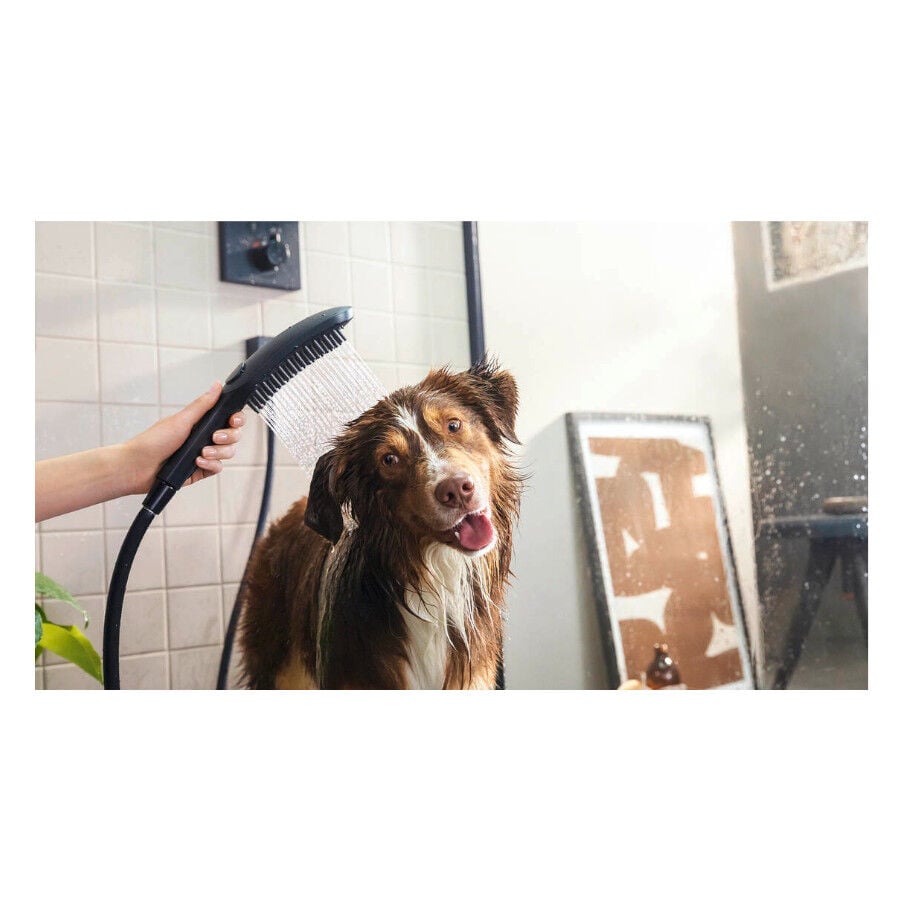 Hansgrohe Alcachofa de Ducha Negra para perros, , large Imagen numero 2