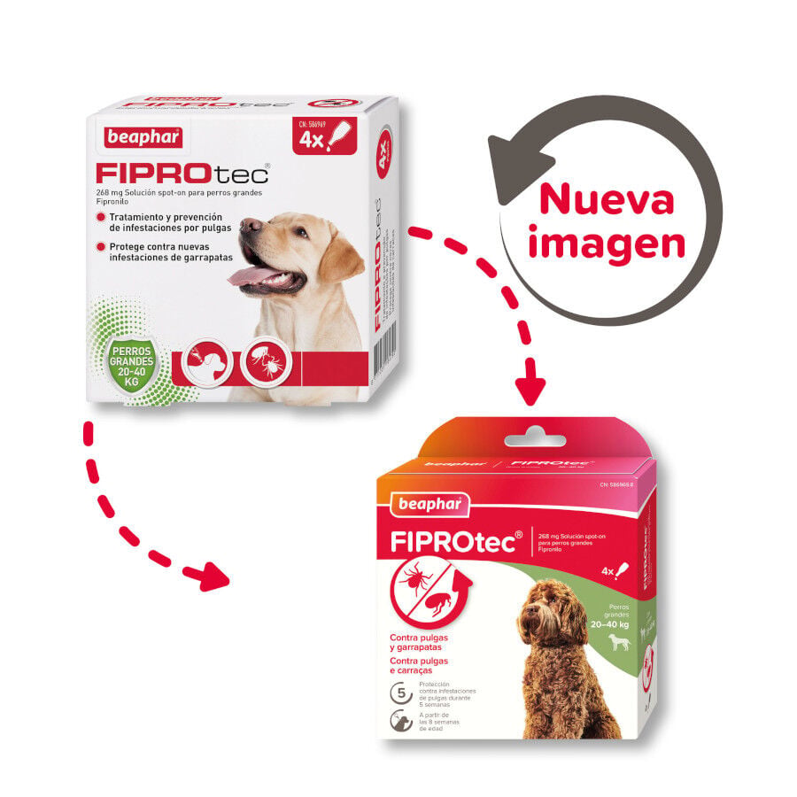 Beaphar FiproTec Pipetas para perros, , large indicador imagen numero 2
