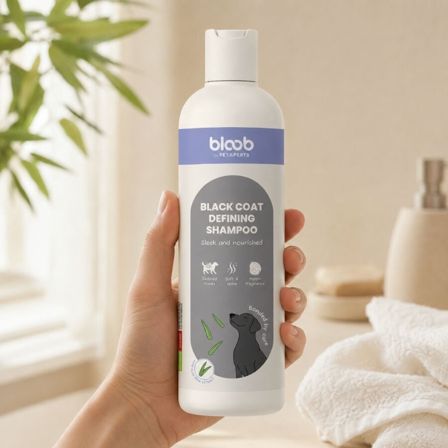 Bloob Champ&uacute; Definidor Mantos Negros Mel&oacute;n para perros, , large indicador imagen numero 1