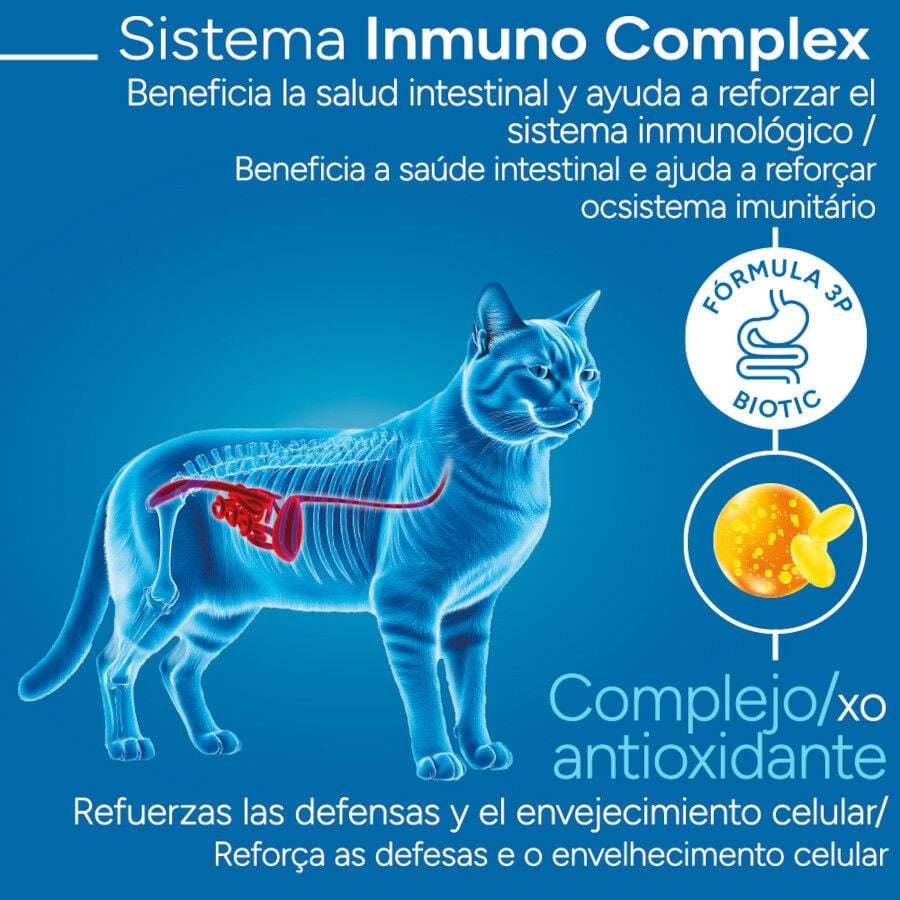 2 kg Criadores Cient&iacute;fico Mature +7 Pollo pienso para gatos, , large indicador imagen numero 3